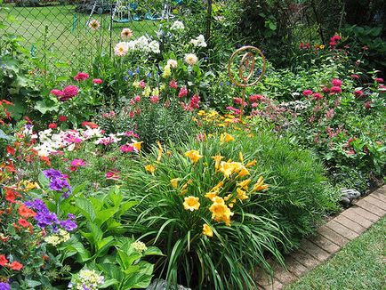 Illatos virágok a kertben (41 fénykép) video-telepítési utasításokat a kezüket, különösen a növények