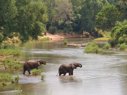 Mi a Limpopo (utazás) Mi a Limpopo