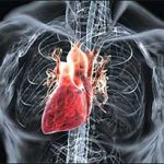 Diffúz cardio okok, tünetek, kezelés