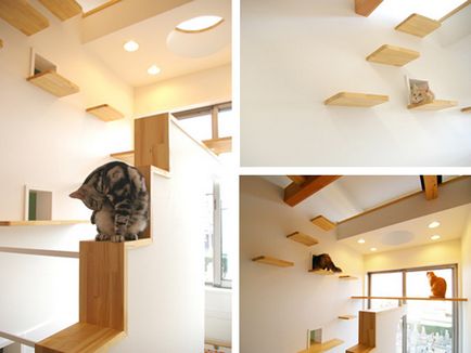 Sprinkler lakások macskák - fotó álom ház