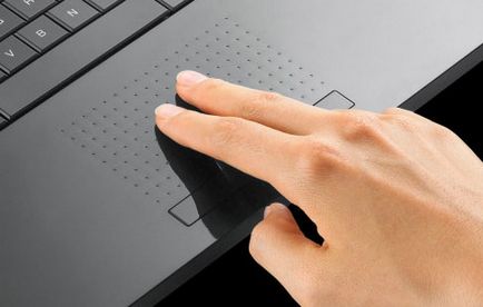 Arról, hogy hogyan tiltsa le a touchpad egy laptop asus, HP, Lenovo és más ablakokra