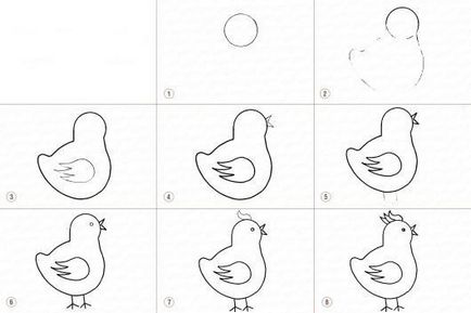 Hogyan kell felhívni a csirke szakaszában ceruza