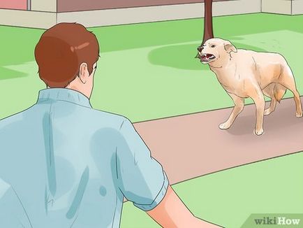 Hogyan lehet elkapni egy kutya