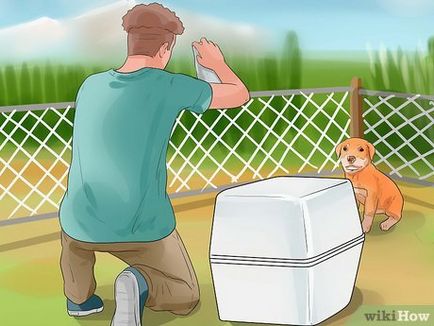 Hogyan lehet elkapni egy kutya