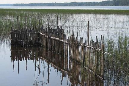 Hogyan készítsünk egy csapdát a halat, hogy finom vagy kifejezést