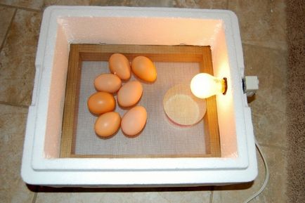 Hogyan készítsünk saját kezűleg inkubátorba csirke tojás a hazai pályán és méretrajzokkal