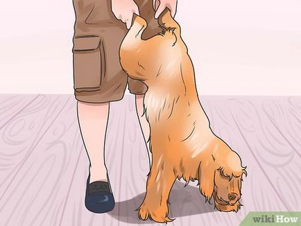 Hogyan kell menteni a kutya fojtott