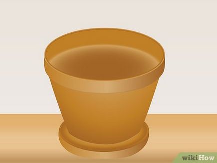 Hogyan növekszik a nárcisz az otthoni