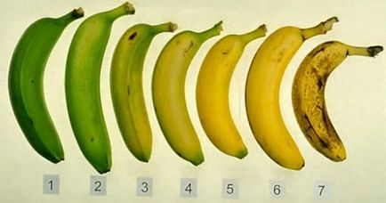 Hogyan kell tárolni a banán az otthoni