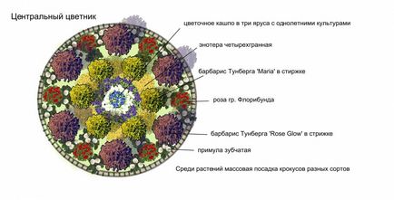 Virágágyások egynyári - rendszerek, példák, lépésről lépésre