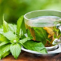 Koporye tea előnyei és hátrányai, a recept otthon