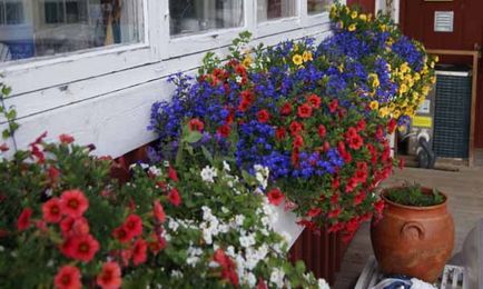Gyönyörű vidéki ház kezük 40 fényképet Home & Garden