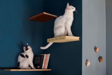 Apartman ház macskák és emberek, a blogger alfa-omega-line május 28, 2017, a pletyka