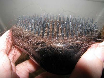 Climb haj -, hogy mit és hogyan kell kezelni otthon segítségével maszkok és masszázs