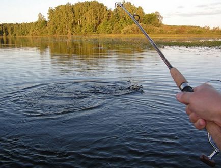 Pike csalit - mi csali jobb használni a legjobb felszerelés és halászati ​​technika