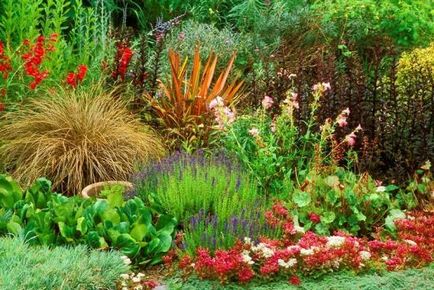 A legjobb virágok a kertben évelők, típusai és ültető