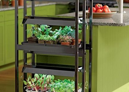 Mini kert lakás, hogyan növekszik zöldségek, fűszernövények, és még eper otthon