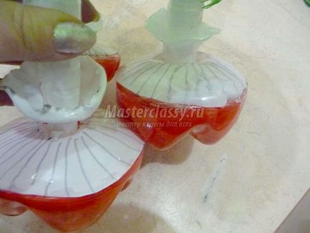Muhomori palackok (légyölő galóca) Amanita a palackok