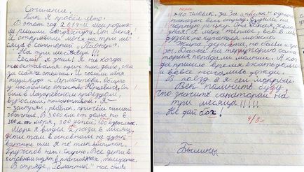 Kiváló munkát a gyermek „töltöttem a nyár” - lóhere () Kiváló munkát a gyermek „töltöttem a nyár” - lóhere