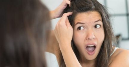 Pattanások a fej haj (acne) Pattanások a fej haj