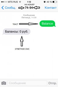 Ellenőrizze Qiwi pénztárca, hogyan lehet megtalálni az egyensúlyt