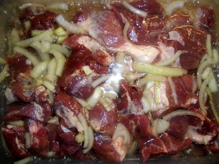 Sertés ásványvíz - egyszerű receptet (kebab) Sertés ásványvíz - egyszerű receptek