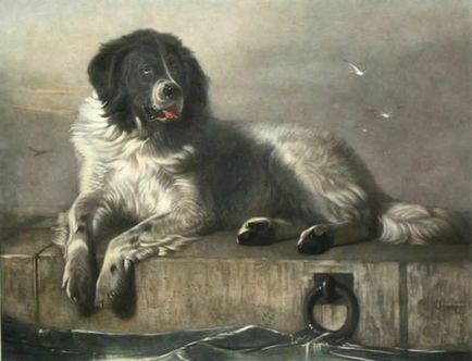 Kutyák művészek festményei