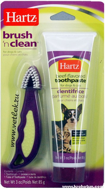 Tisztítási szerek a kutya fogainak otthon