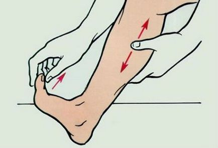 Okai lábikragörcs éjjel (miért csökkenti a borjú), a kezelést