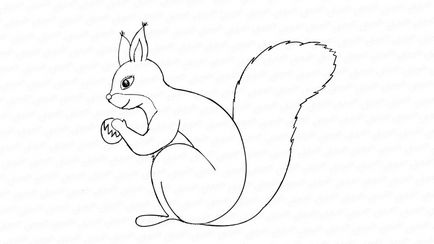 Tudjon meg, hogy lépésről lépésre ceruza mókus