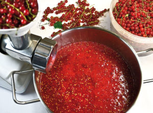 Bor piros és fekete ribizli egy otthon egy egyszerű recept, hogyan kell főzni