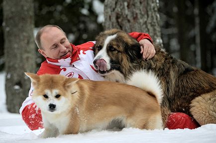 Vladimir Putin - életrajz, a személyes élet, fotó, karrier, életkor, a politika és a legfrissebb hírek 2017