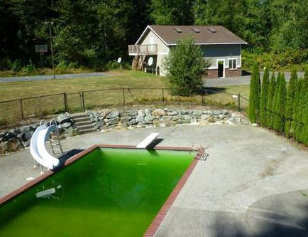 A víz a medencében zölddé teszik gyakorlati ajánlások