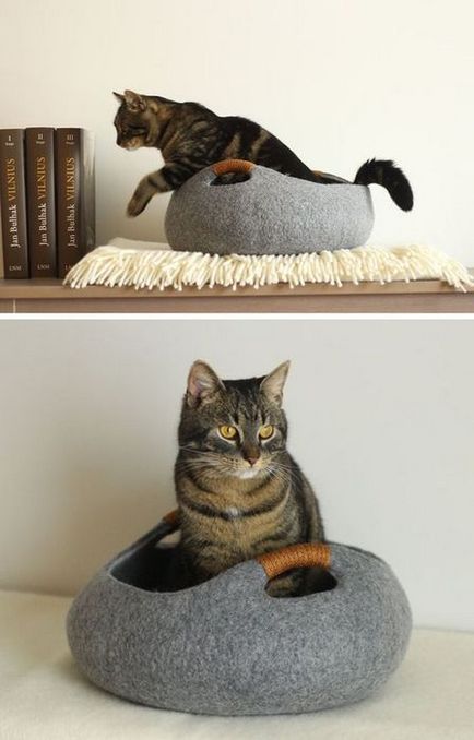 macska életét egy kis lakásban, néhány egyszerű lépés, hogy egy kisállat kényelem