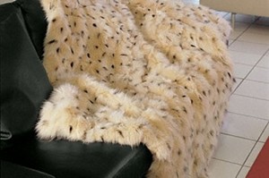 4 hatálya alá tartozó fajok egy sarok kanapé, gyapjú, prém, tapaszok, kötött (fedett) 4. Változatok egy kanapén borított gyapjú, prém, rongyok, kötött