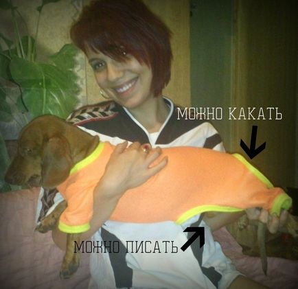 Üzleti szabás kutyák otthon, beruházások 7000 rubelt