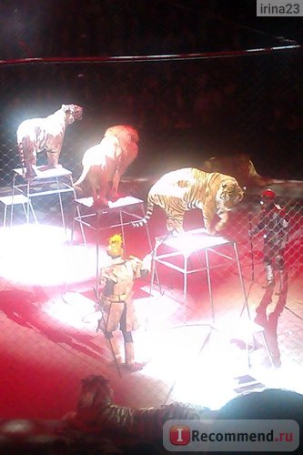 Nagy Moszkva Circus on Vernadszkij, Budapest - „Cirkusz a Vernadszkij leírása a legjobb helyeken