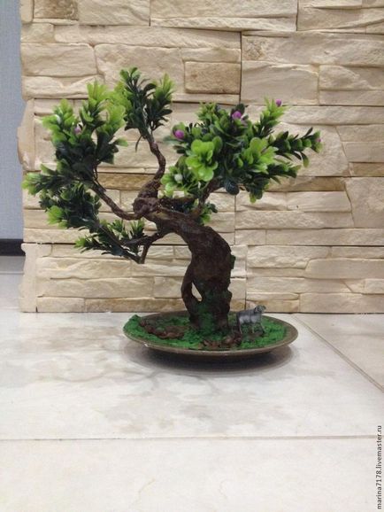 Bonsai mesterkurzus kezét, hogyan lehet a valós és a mesterséges bonsai