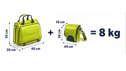 Bőrönd kézipoggyász a gépen, hogyan kell kiválasztani, és hol lehet megvásárolni