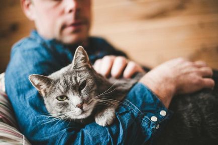 Depressziós tünetek macskák, mit kell tennie, megelőzés