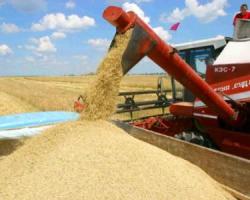 Cornmeal mi ez a használata gabona takarmány