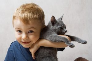 Hogyan ótvar egy macskát egy férfi, egy macska, mint kezelni és hogyan nem kap fertőzött, mint veszélyes