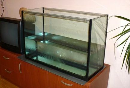 Hogyan készítsünk saját akvárium - egy otthoni akváriumban