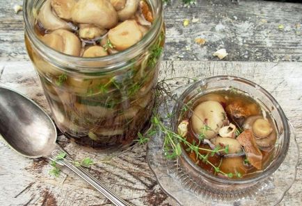 Hogyan pácolást gombát otthon egyszerű receptet kedvenc ételek