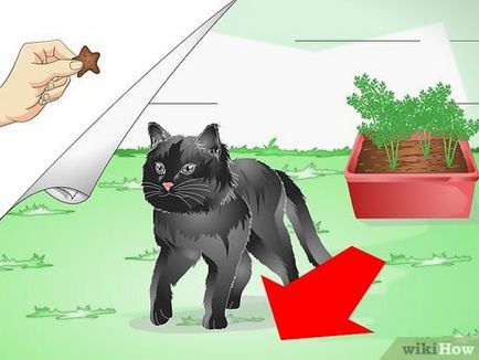 Hogyan védi a szobanövények macska-