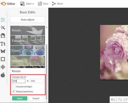 Hogyan lehet csökkenteni a méretét a jpg file Photoshop a festék és a változás összegét a képet az interneten