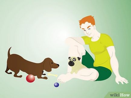 Hogyan él egy házban több kutya
