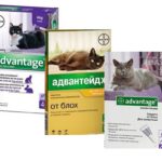 Csepp a mar advanteydzh utasítás és visszajelzés (Application bolha csepp) Csepp a mar advanteydzh útmutató és vélemények