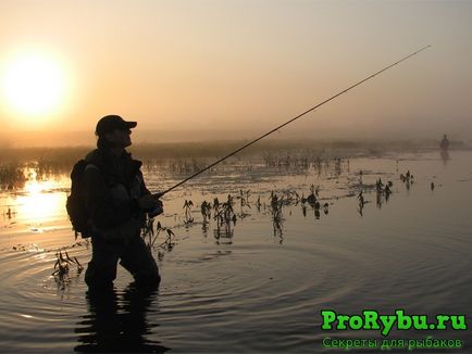Horgászat fonás