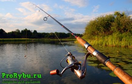 Horgászat fonás